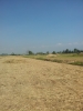 20111213_121147.jpg