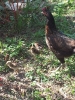 20111213_121948.jpg