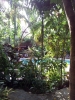20111217_160746.jpg