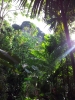 20111217_160806.jpg
