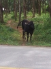 20111218_143758.jpg