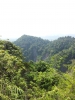 20111219_131822.jpg