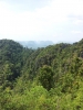 20111219_131829.jpg