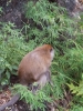 20111219_134550.jpg