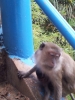 20111219_134558.jpg