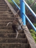20111219_134636.jpg