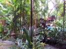 20111221_161811.jpg