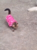 20111222_090358.jpg