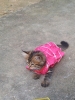 20111222_090439.jpg