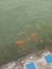 20111222_115840.jpg