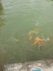 20111222_115852.jpg