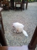 20111223_084331.jpg