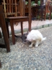 20111223_084634.jpg