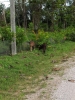 20111223_145829.jpg
