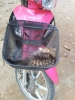 20111227_082543.jpg