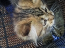 20111229_084717.jpg