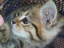 20111229_085036.jpg
