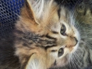 20111229_085212.jpg