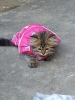 20111230_082602.jpg