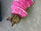 20111230_082647.jpg