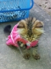 20111230_082724.jpg