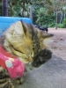 20111230_082819.jpg