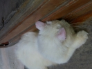 20111230_084441.jpg