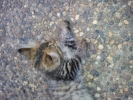 20111231_085948.jpg