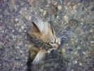 20111231_090002.jpg