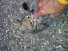 20111231_090035.jpg