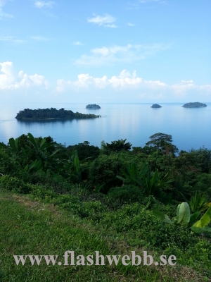 20121208_100215.jpg