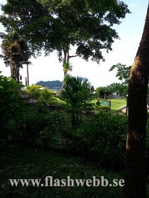 20121208_100501.jpg