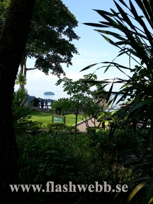 20121208_100512.jpg