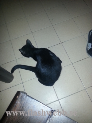 20121209_192851.jpg