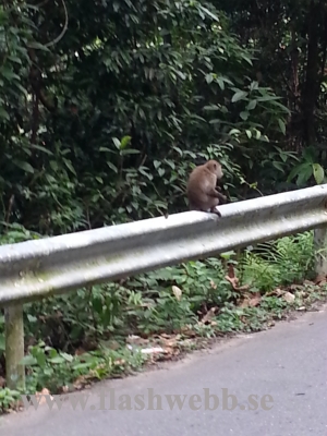 20121210_101021.jpg