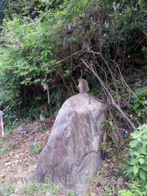 20121210_101413.jpg