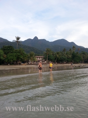 20121212_170937.jpg