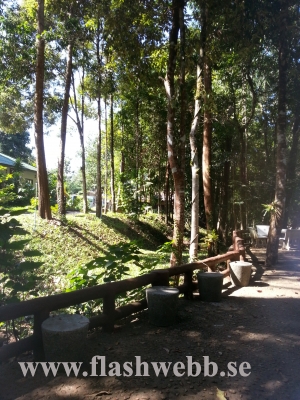 20121213_103816.jpg