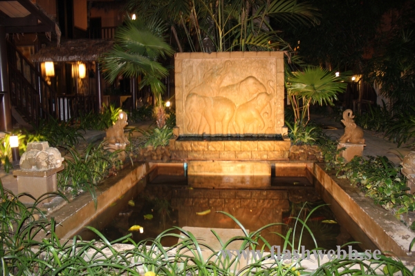 IMG_5545.JPG