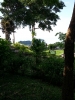 20121208_100501.jpg