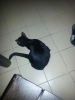 20121209_192851.jpg
