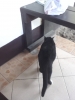 20121218_080755.jpg