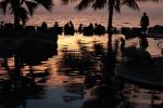 IMG_5475.JPG