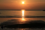 IMG_5536.JPG