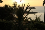 IMG_5576.JPG