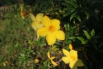 IMG_5596.JPG