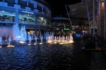 IMG_5698.JPG
