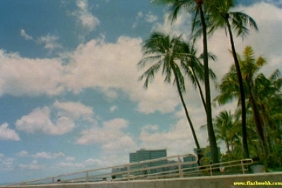 05__6A.jpg