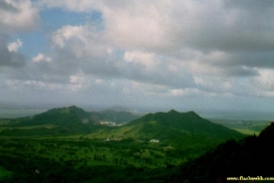 197.jpg