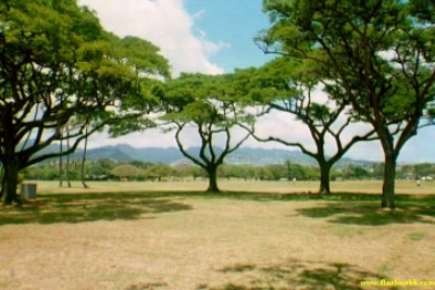 19_20A.jpg